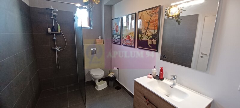 Sabareni, casa P+1+pod, 5 camere, 130 mp utili, curte 470 mp